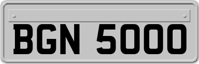 BGN5000