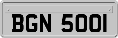 BGN5001