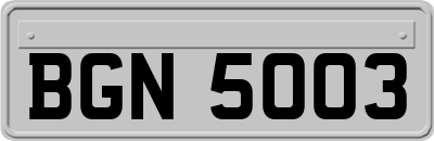 BGN5003
