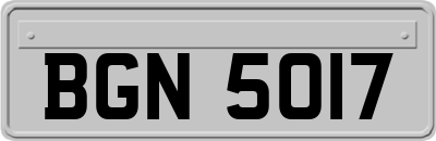BGN5017