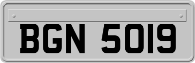 BGN5019