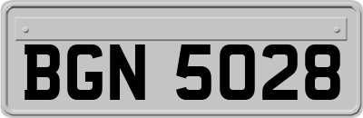 BGN5028