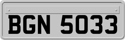 BGN5033