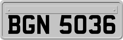 BGN5036
