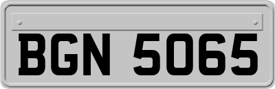 BGN5065