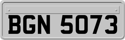 BGN5073