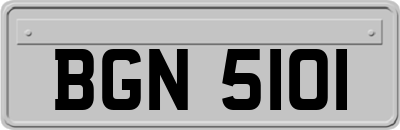 BGN5101