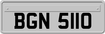 BGN5110