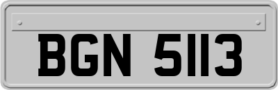 BGN5113