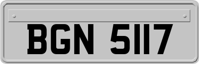 BGN5117