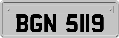 BGN5119