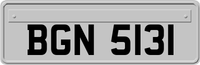 BGN5131
