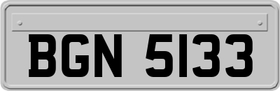 BGN5133