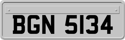 BGN5134