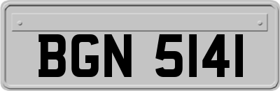 BGN5141
