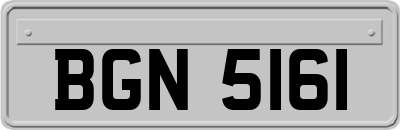 BGN5161