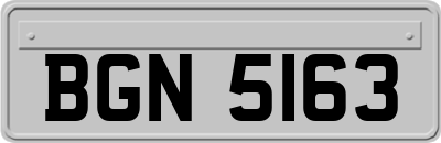 BGN5163