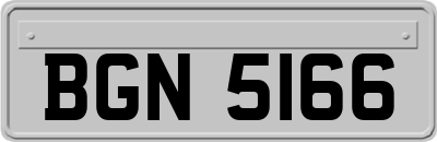 BGN5166