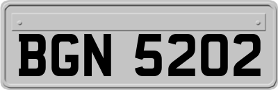 BGN5202