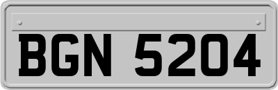 BGN5204