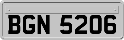 BGN5206