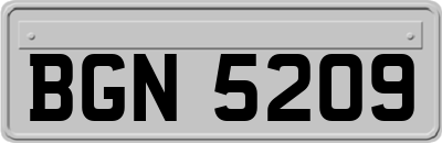 BGN5209