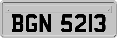 BGN5213