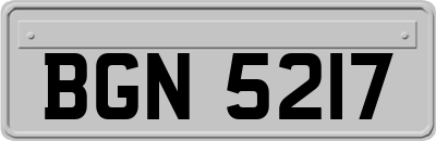 BGN5217