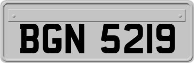 BGN5219