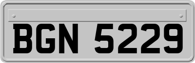 BGN5229
