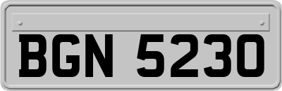 BGN5230