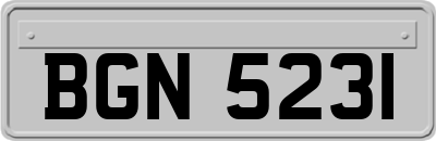 BGN5231
