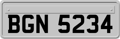 BGN5234
