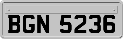 BGN5236