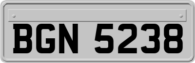 BGN5238