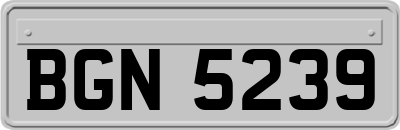 BGN5239