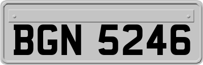 BGN5246