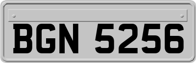 BGN5256