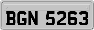 BGN5263