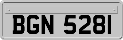 BGN5281