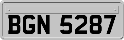 BGN5287