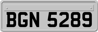 BGN5289