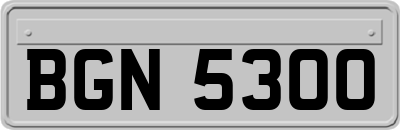 BGN5300