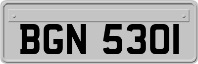 BGN5301