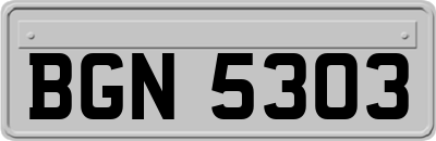 BGN5303