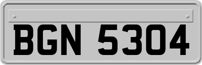 BGN5304