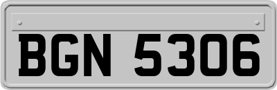 BGN5306