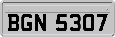 BGN5307