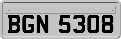 BGN5308