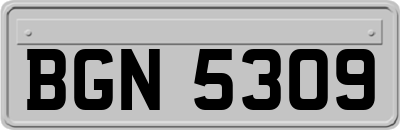 BGN5309